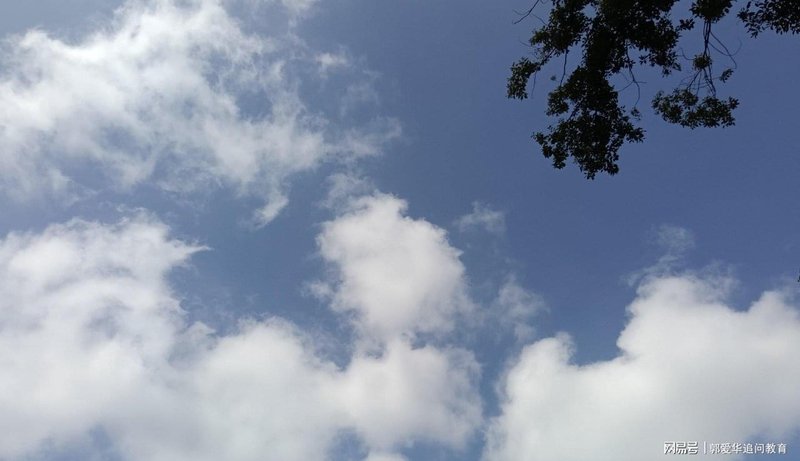 那些年讲台上的身影：一位老教师眼中的青海解决方案与未竟之路 情感心理