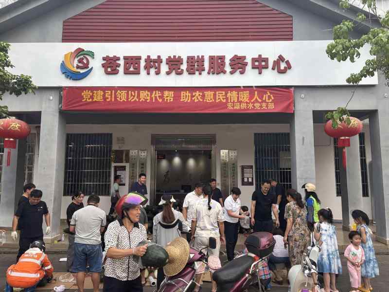 以购代帮:从党建引领到公益助农的精准扶贫实践模型 新闻 以购代帮:从党建引领到公益助农的精准扶贫实践模型 新闻