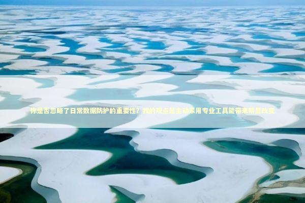 你是否忽略了日常数据防护的重要性？我的观点是主动采用专业工具能带来明显改变