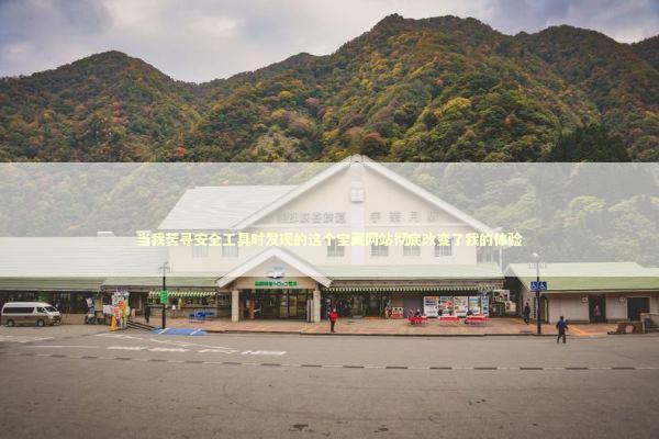 当我苦寻安全工具时发现的这个宝藏网站彻底改变了我的体验