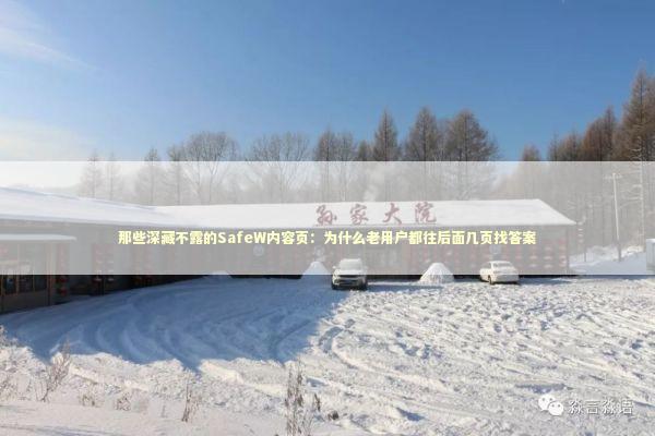 那些深藏不露的SafeW内容页：为什么老用户都往后面几页找答案
