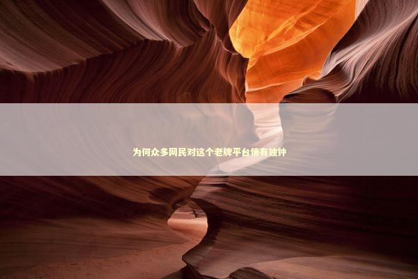 为何众多网民对这个老牌平台情有独钟