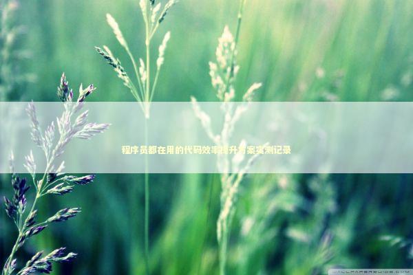 程序员都在用的代码效率提升方案实测记录