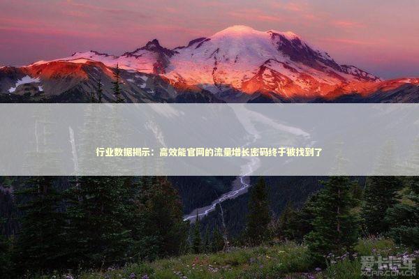 行业数据揭示：高效能官网的流量增长密码终于被找到了