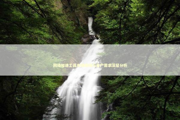 网络加速工具市场现状与用户需求深层分析