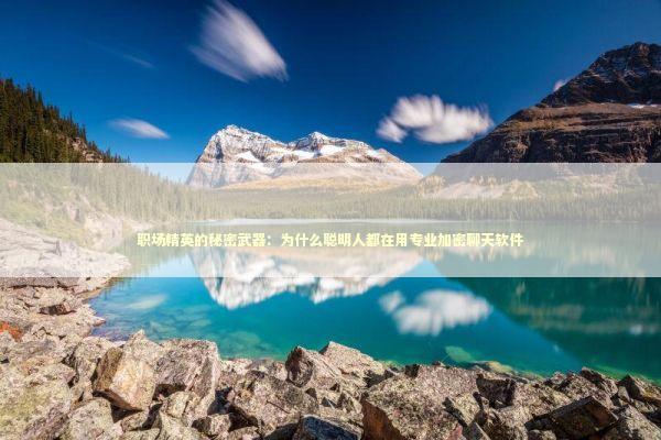 职场精英的秘密武器：为什么聪明人都在用专业加密聊天软件